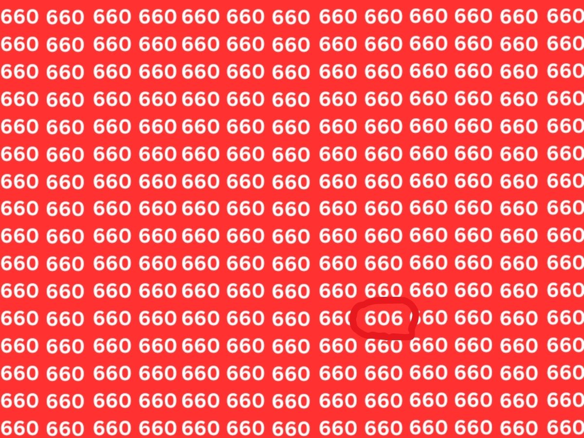 Optical Illusion Puzzle 1