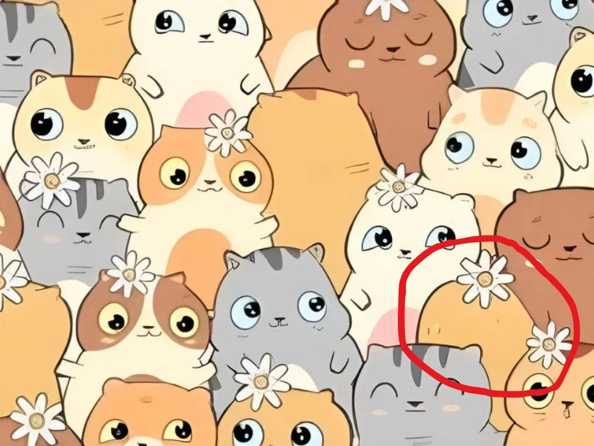 Optical Illusion Puzzle 1