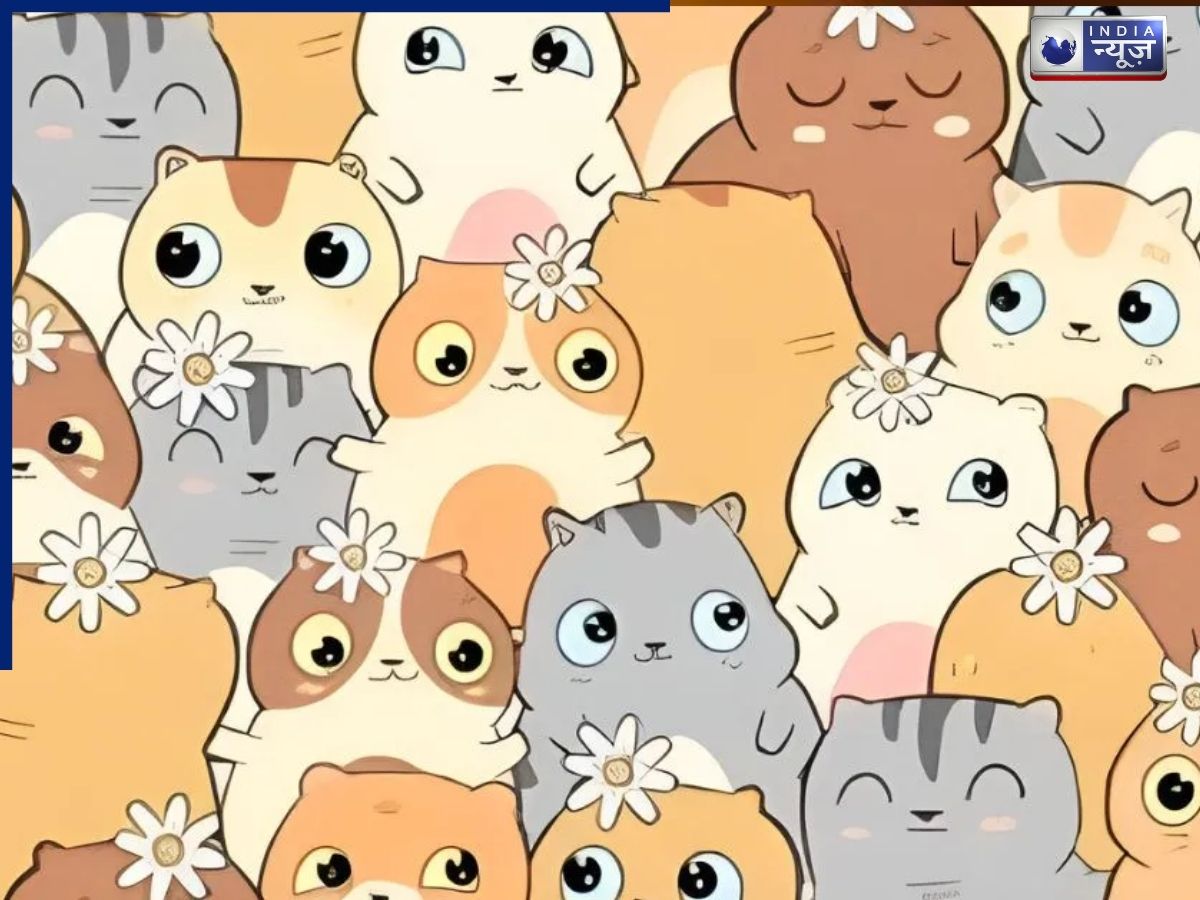 सिर्फ 11 सेकंड में ढूंढ कर दिखाएं छुपा हुआ आलू, यह ऑप्टिकल इल्यूजन आपकी आंखों और दिमाग दोनों को कर देगा कन्फ्यूज