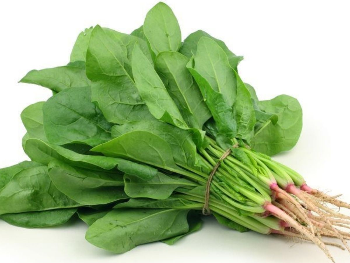 Greens Health Benefits - Photo Gallery