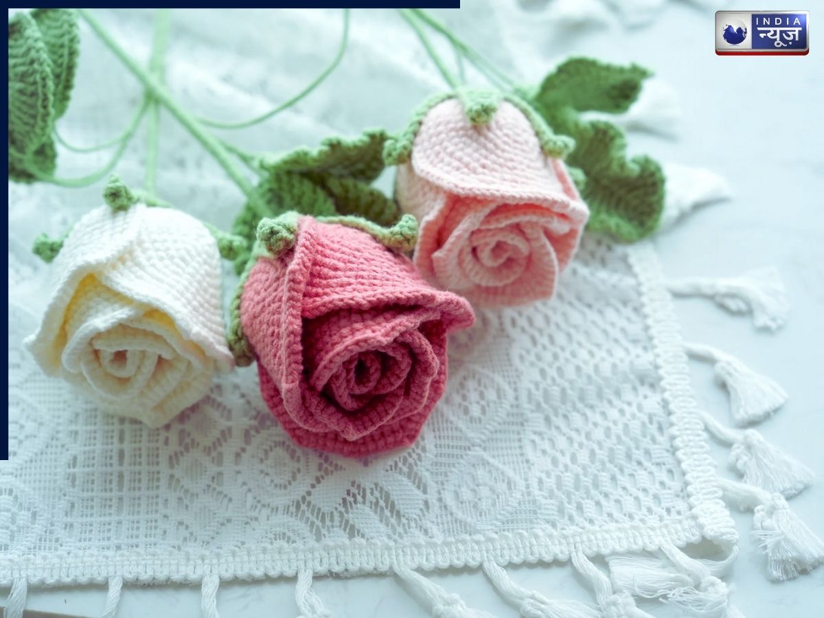 Crochet Rose - Photo Gallery