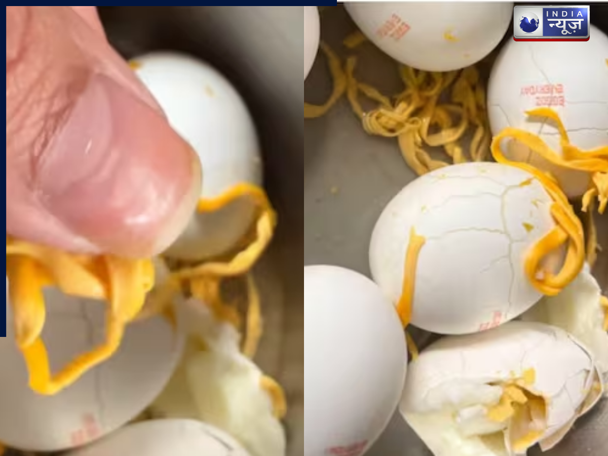 सेहत से खिलवाड़! एगोज के अंडे में योक की जगह निकला नूडल्स जैसा प्लास्टिक, वीडियो वायरल