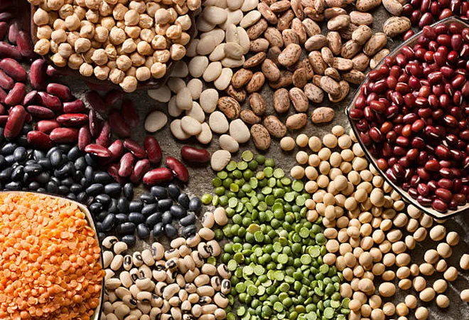What is found in pulses? - Photo Gallery