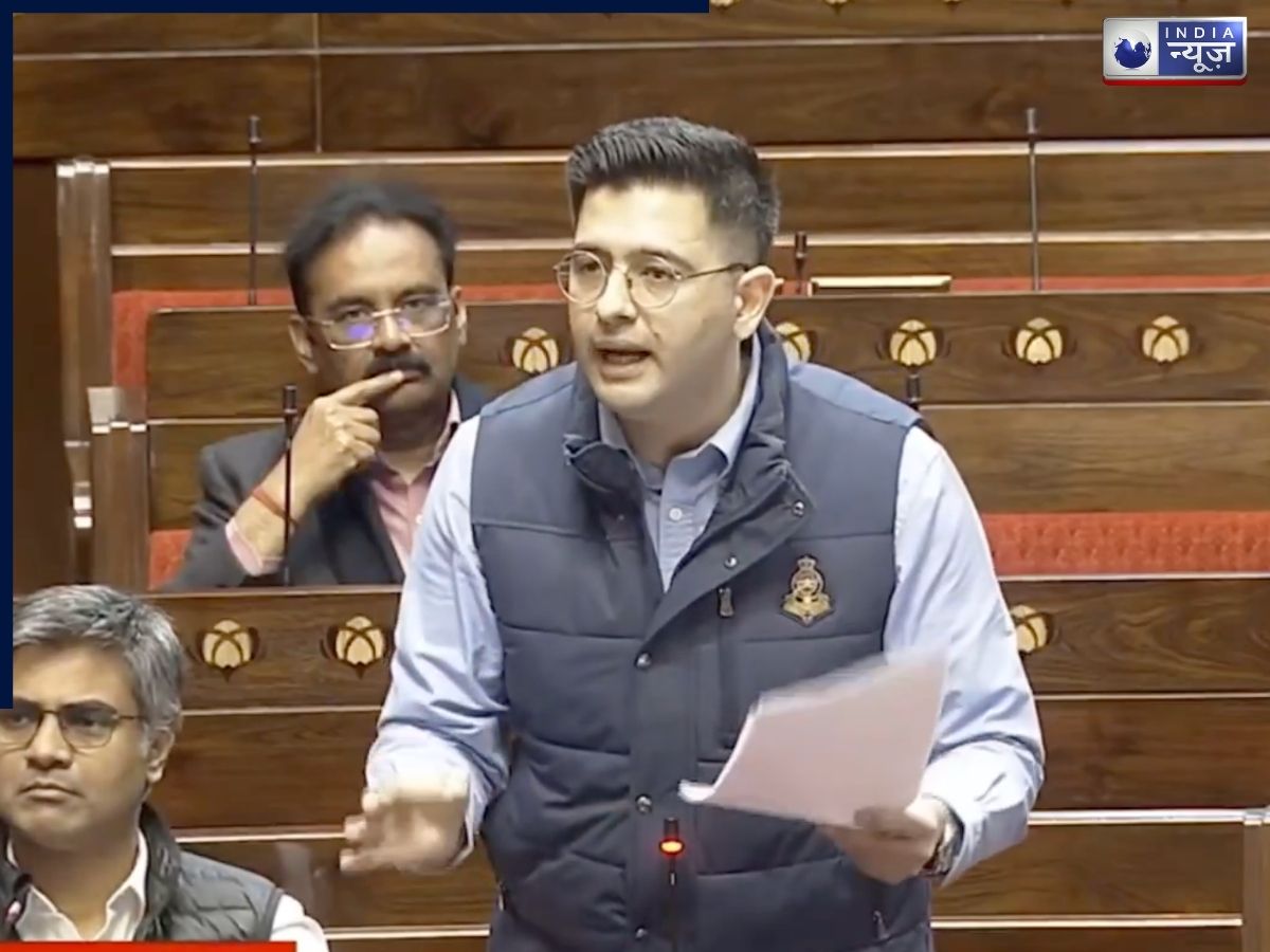 क्या हम खा रहे हैं धीमा जहर, खाने में कैसे हो रही मिलावट? राज्यसभा में राघव चड्ढा ने खोल कर रख दी पोल