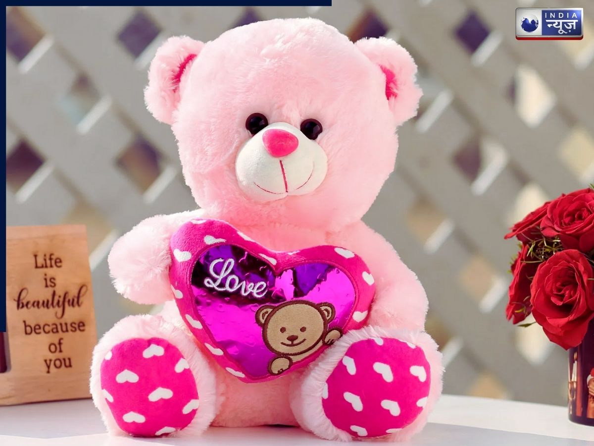 pink teddy bear - Photo Gallery