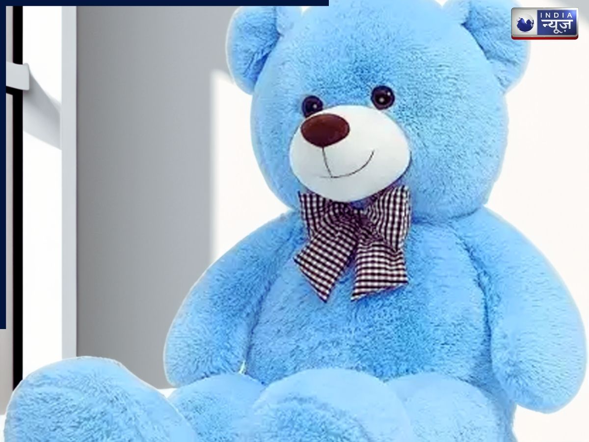 Blue Teddy Bear - Photo Gallery