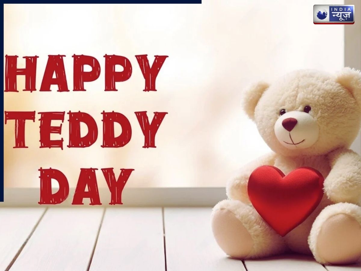 Teddy Day is a symbol of security - Photo Gallery