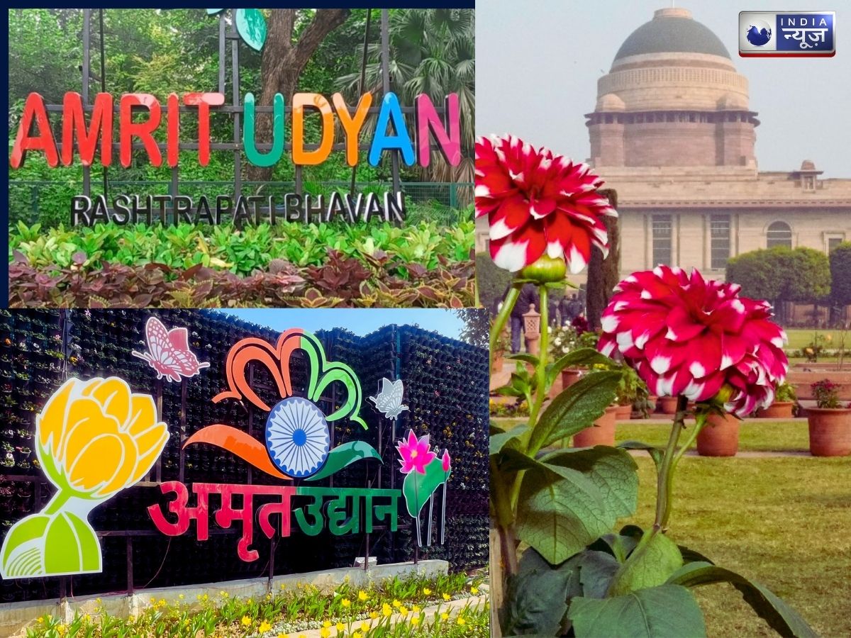 Amrit Udyan 2026 का हो चुका है आगाज, खूबसूरत फूलों के बीच प्रकृति का लें आनंद, जानें क्या है टाइम और टिकट?