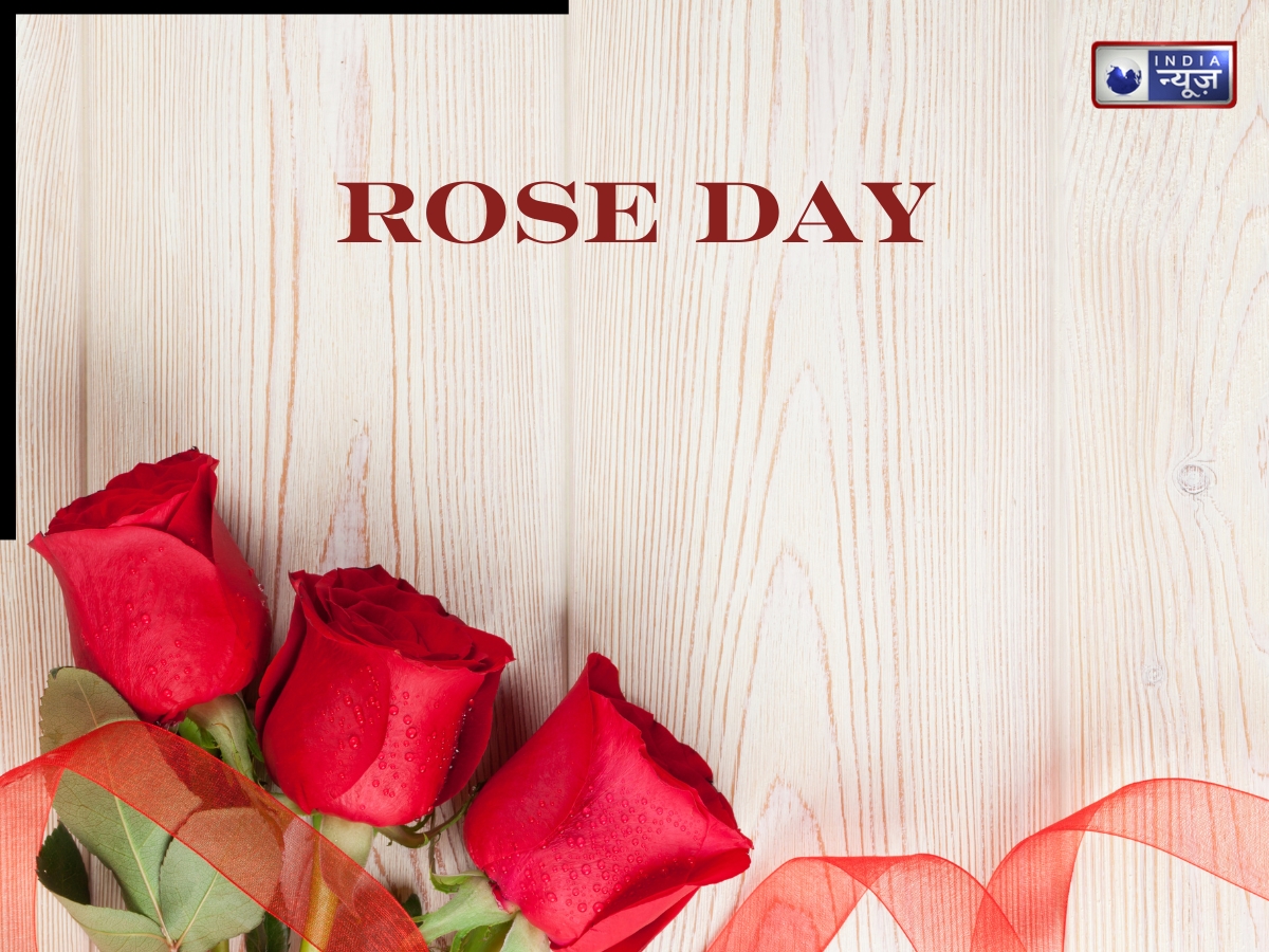 rose day importance - Photo Gallery