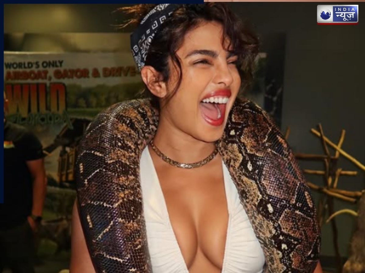 बॉलीवुड की ‘क्वीन’ से हॉलीवुड की ‘स्ट्रगलर’ तक: प्रियंका चोपड़ा ने क्यों चुनी गुमनामी और संघर्ष की डरावनी राह?