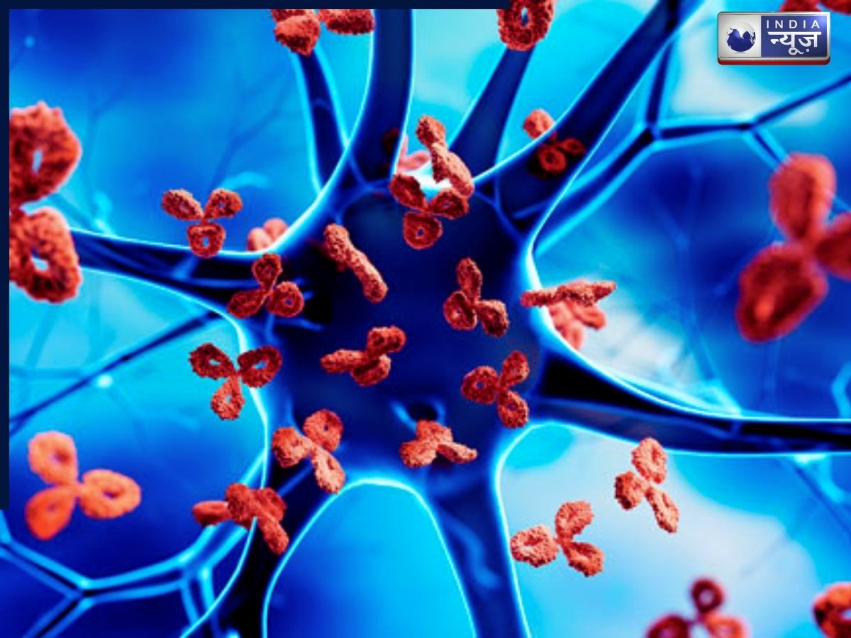 Defeated by antibodies and the defense system - Photo Gallery