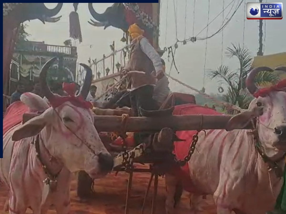 बैलगाड़ी वाली बारात की चर्चा - Photo Gallery