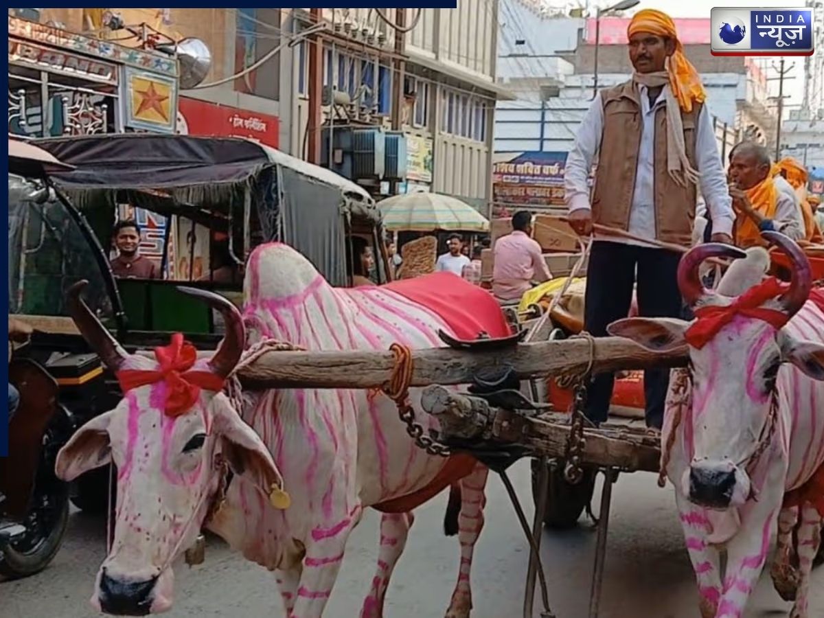 25 फरवरी को हुई शादी - Photo Gallery