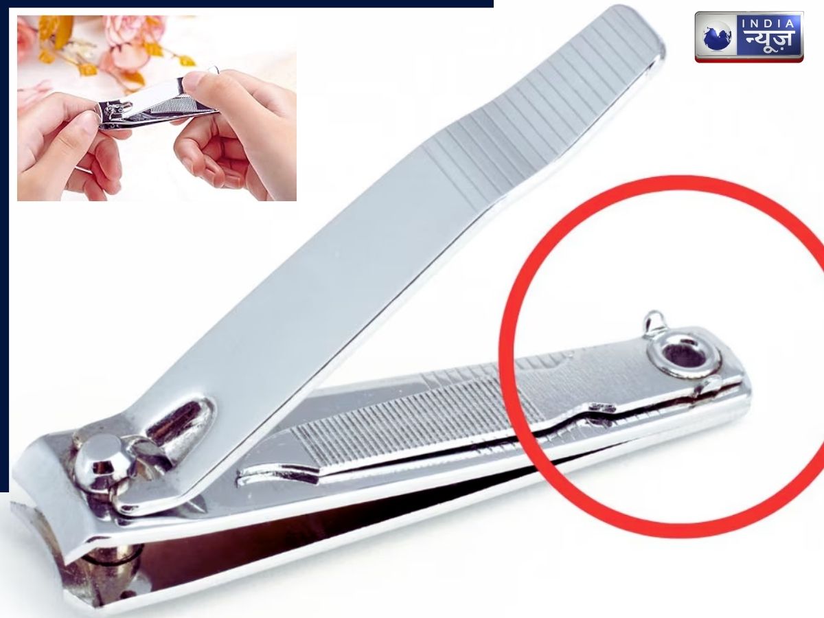 Nail Cutters Hole: नेल कटर में पीछे छेद क्यों? क्या आपने सोचा है कभी, वायरल सवाल पर रिएक्शन देख लोग शॉक्ड