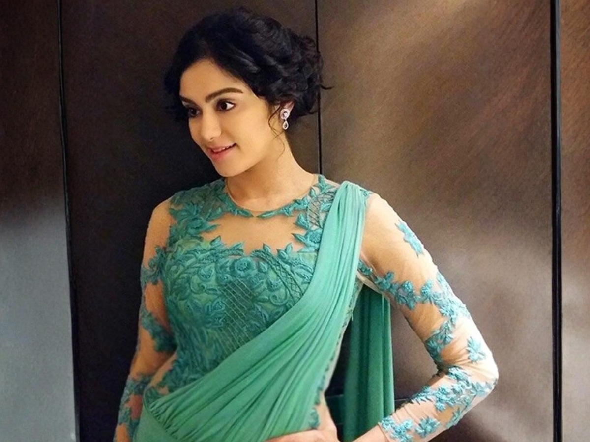 Sheer (Net) Sleeve Blouse - Photo Gallery