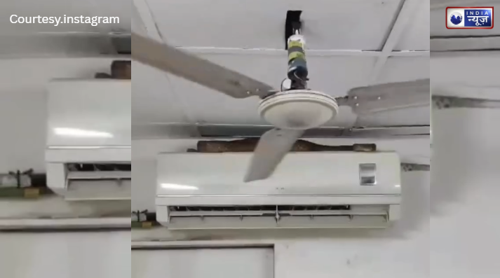 एयर इंडिया के गेट पर ‘7 फुटिया’ मेहमान; बिना वीजा-पासपोर्ट के फ्लाइट पकड़ने पहुंचा सांप, देखें नए पैसेंजर की वीडियो!