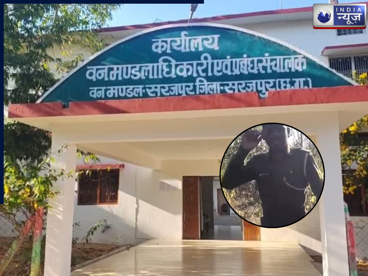 पहले लगवाए ठुमके, फिर बेल्ट से पीटा, ‘ऑन-ड्यूटी’ लड़की के साथ पकड़े गए फारेस्ट गार्ड के साथ हुआ अपमानजनक व्यवहार, वीडियो वायरल