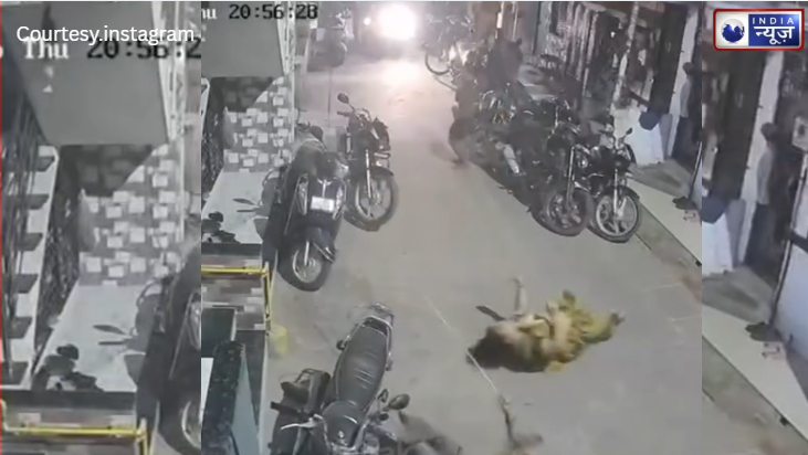 मौत को छूकर लौटीं मां-बेटी; सूरत में पहली मंजिल से सीधा जमीन पर गिरीं, रोंगटे खड़े कर देने वाला ‘चमत्कार’ CCTV में कैद!