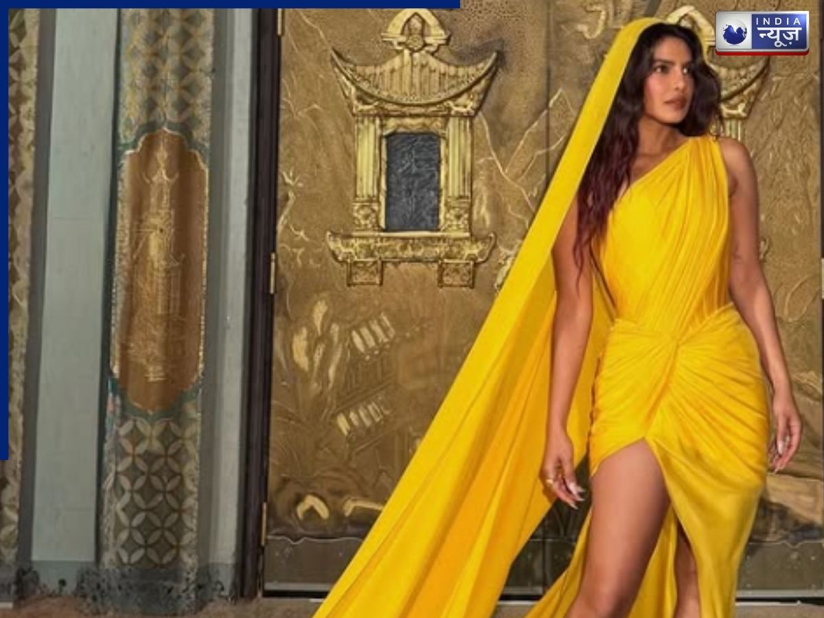 Gaurav Gupta's wonderful creation - Photo Gallery