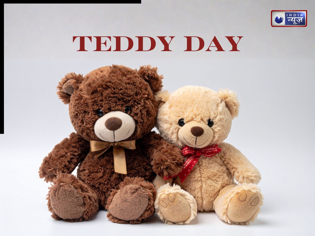 teddy day importance - Photo Gallery