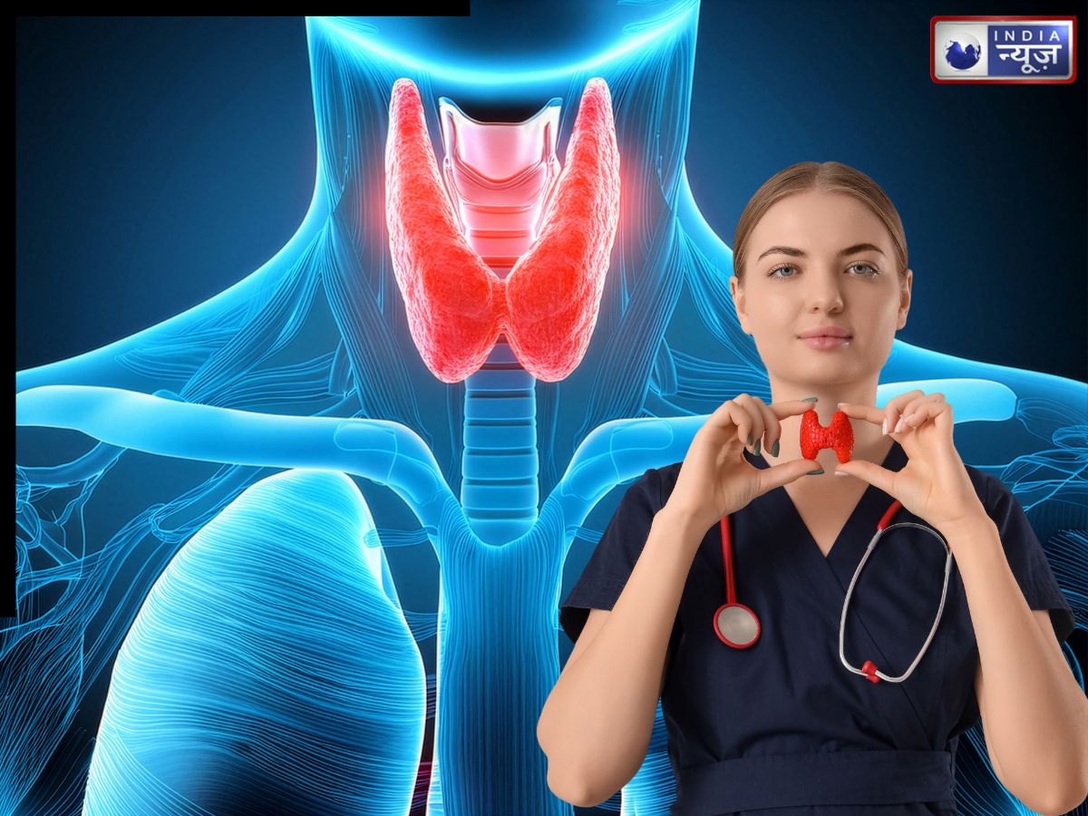 Explainer: थायरॉइड होने से पहले और बाद में शरीर में क्या होता है? यह हार्मोन कैसे करता काम, पढ़िए इससे जुड़ी जानकारियां