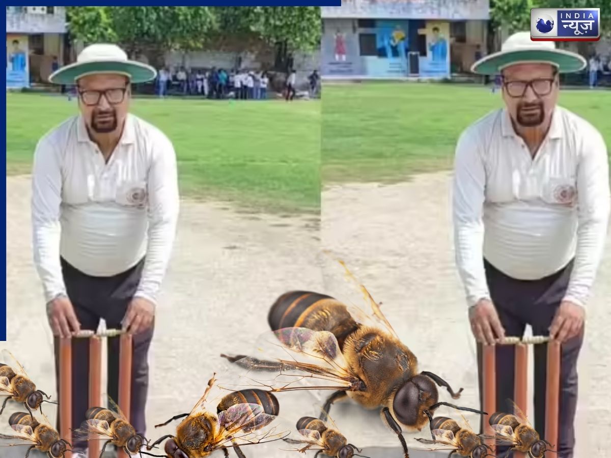 मधुमक्खियों की वजह से बीच मैदान में अंपायर की मौत, हालत देख डॉक्टर भी रह गए दंग; क्रिकेट जगत में पसरा मातम