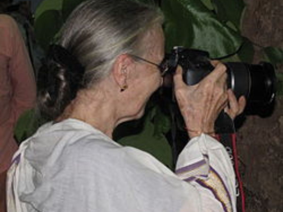 Impact on heritage documentation - Photo Gallery