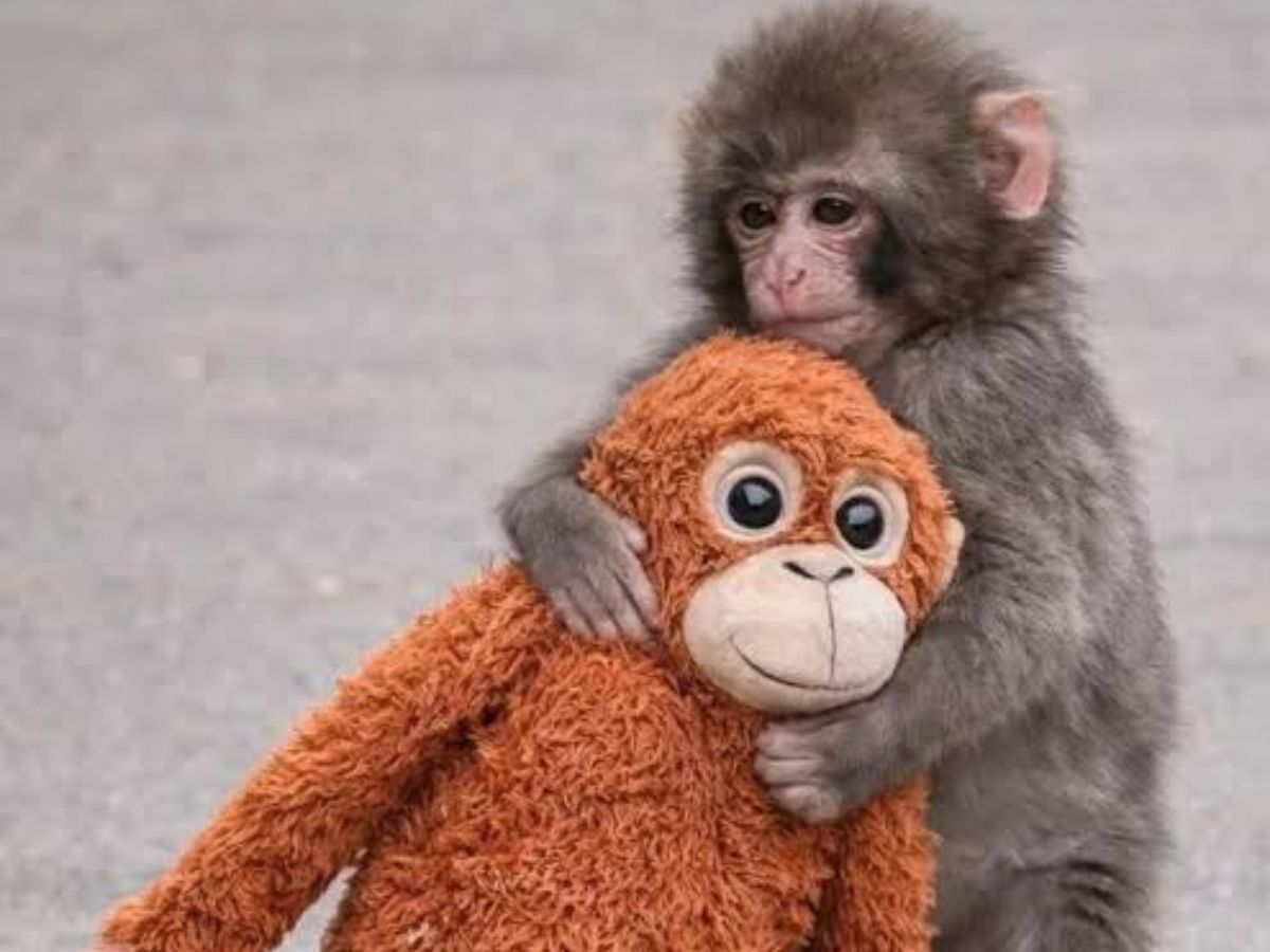 Hand-Raised Care - Photo Gallery