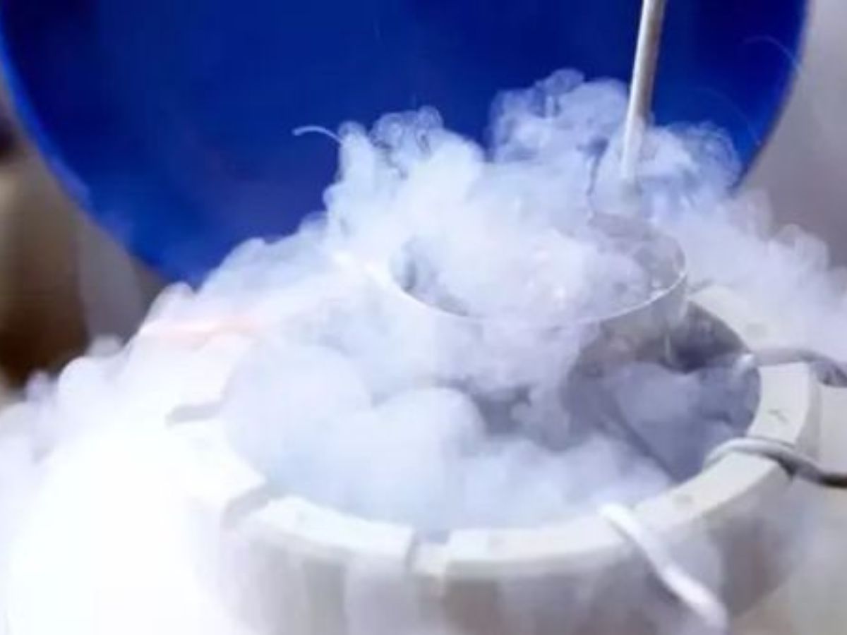 Cost of Egg Freezing in India - Photo Gallery