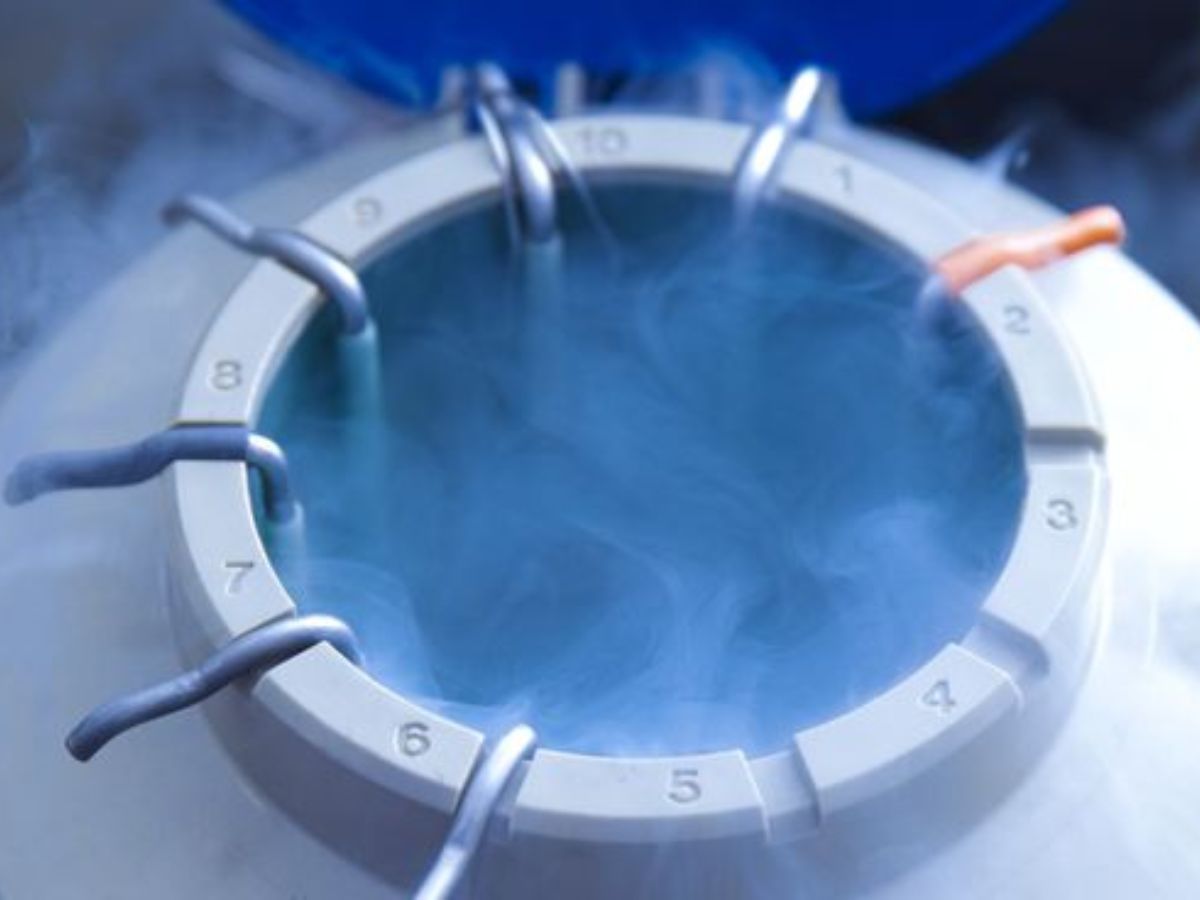 Who Should Consider Egg Freezing - Photo Gallery
