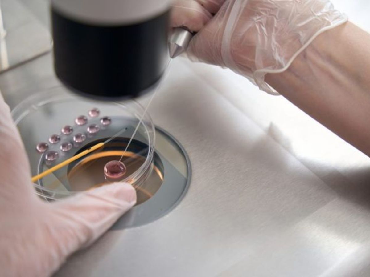 Is Delayed Marriage Driving This Trend? - Photo Gallery