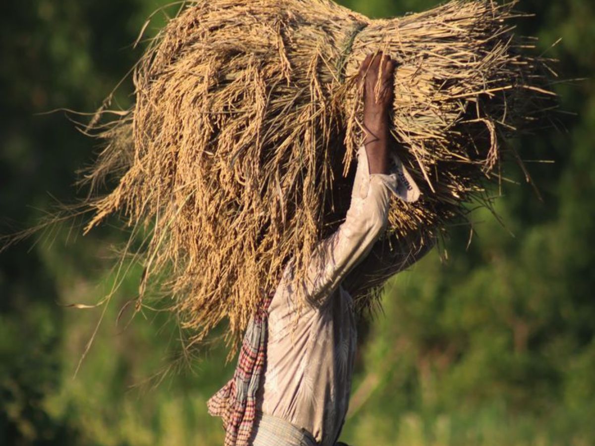 Interest subsidies continue - Photo Gallery