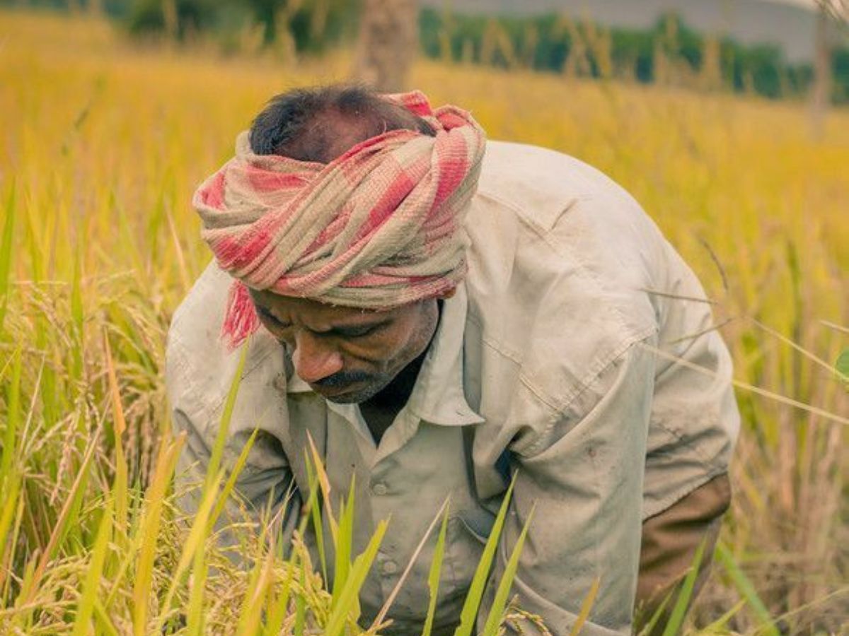 Stakeholder feedback invited - Photo Gallery