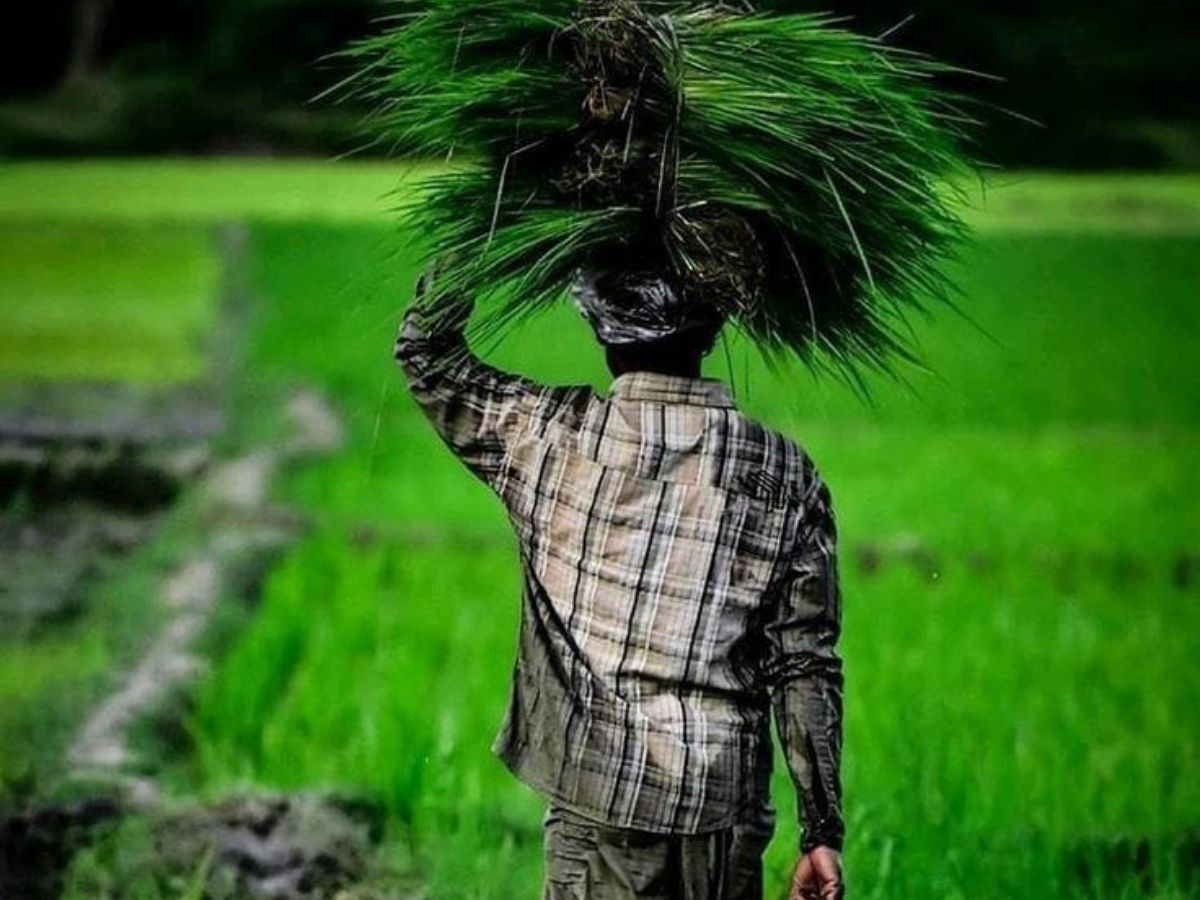 Standardisation of crop loan cycles - Photo Gallery