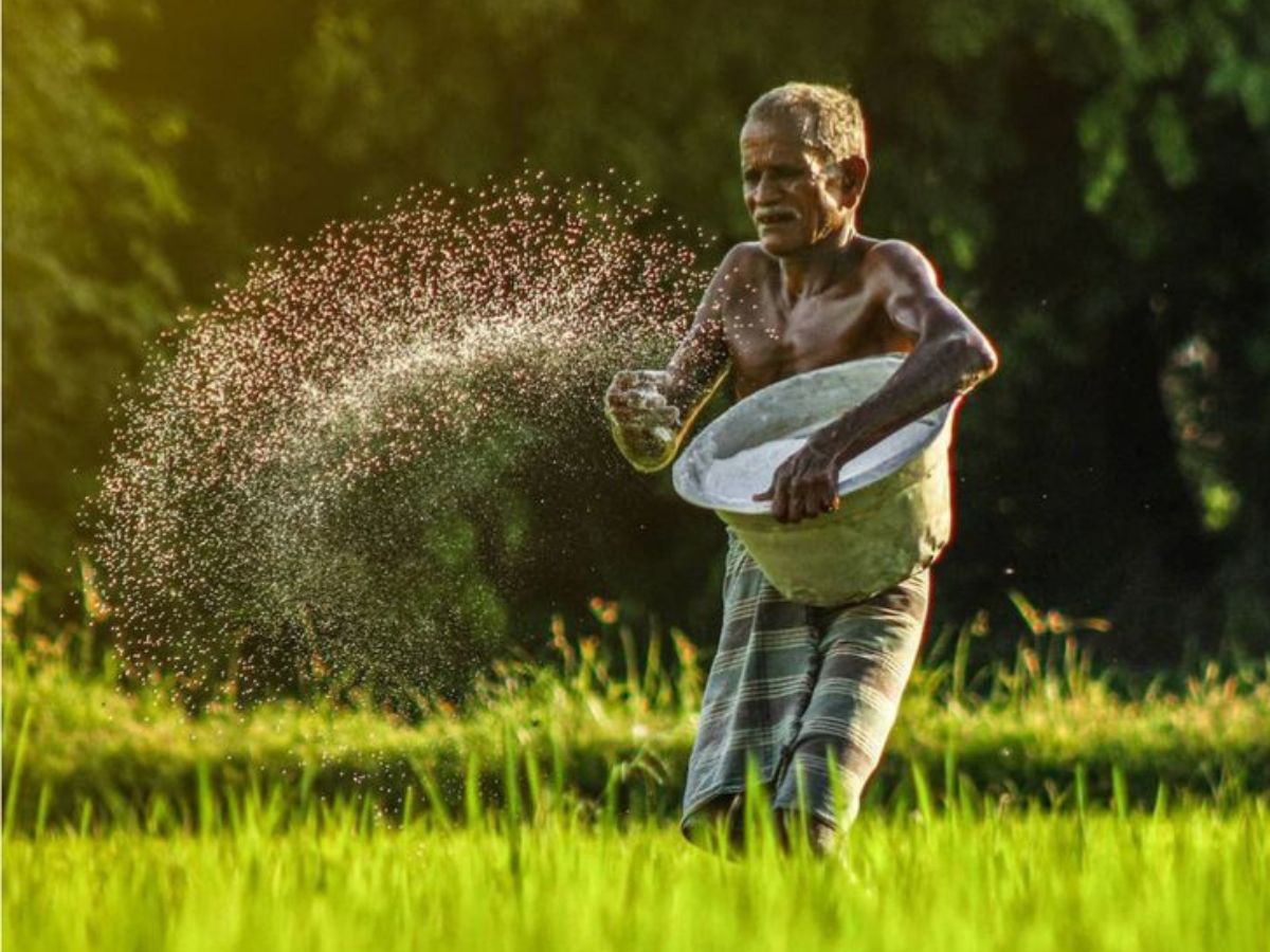 Loan limits tied to crop needs - Photo Gallery