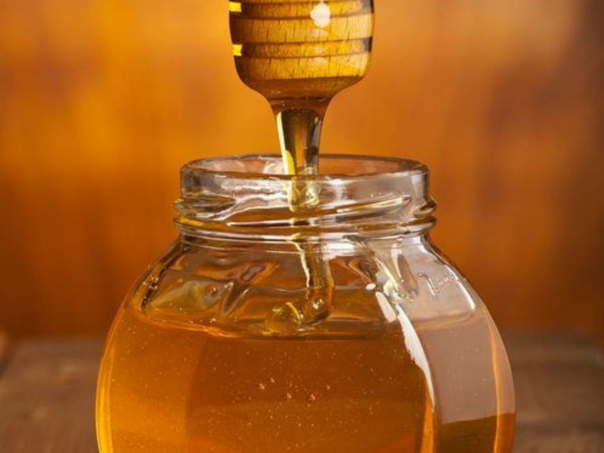 Slide 3 - Photo Gallery