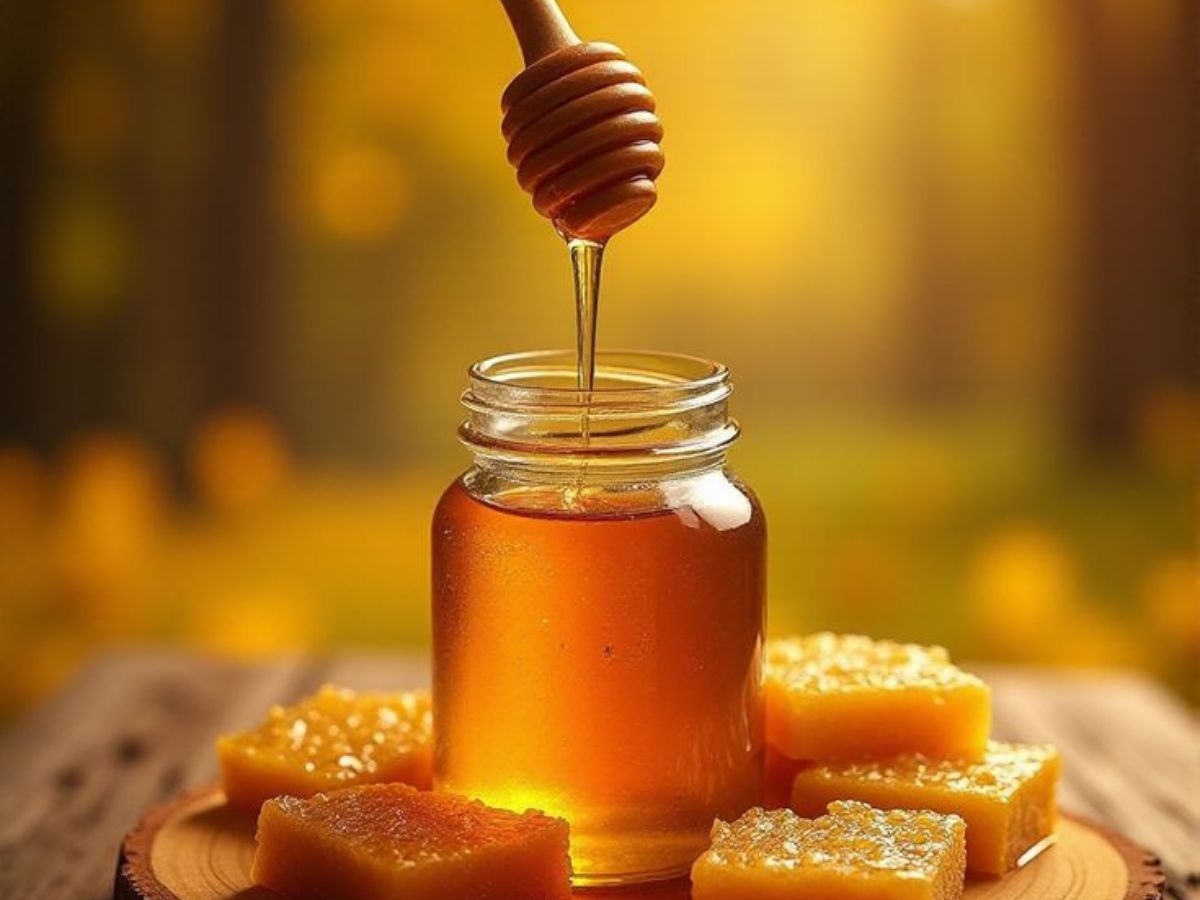 वजन घटाने का मीठा राज! क्या सच में शहद करता है फैट कम? जानिए सही तरीका
