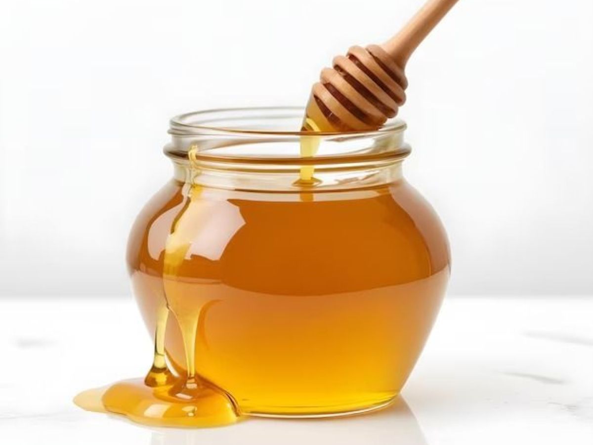 Slide 4 - Photo Gallery