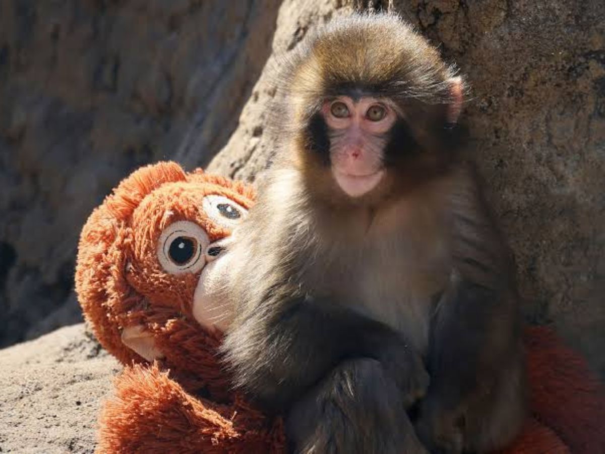 Global Support - Photo Gallery