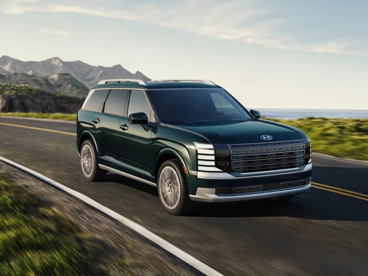 Trim & Pricing Overview - Photo Gallery