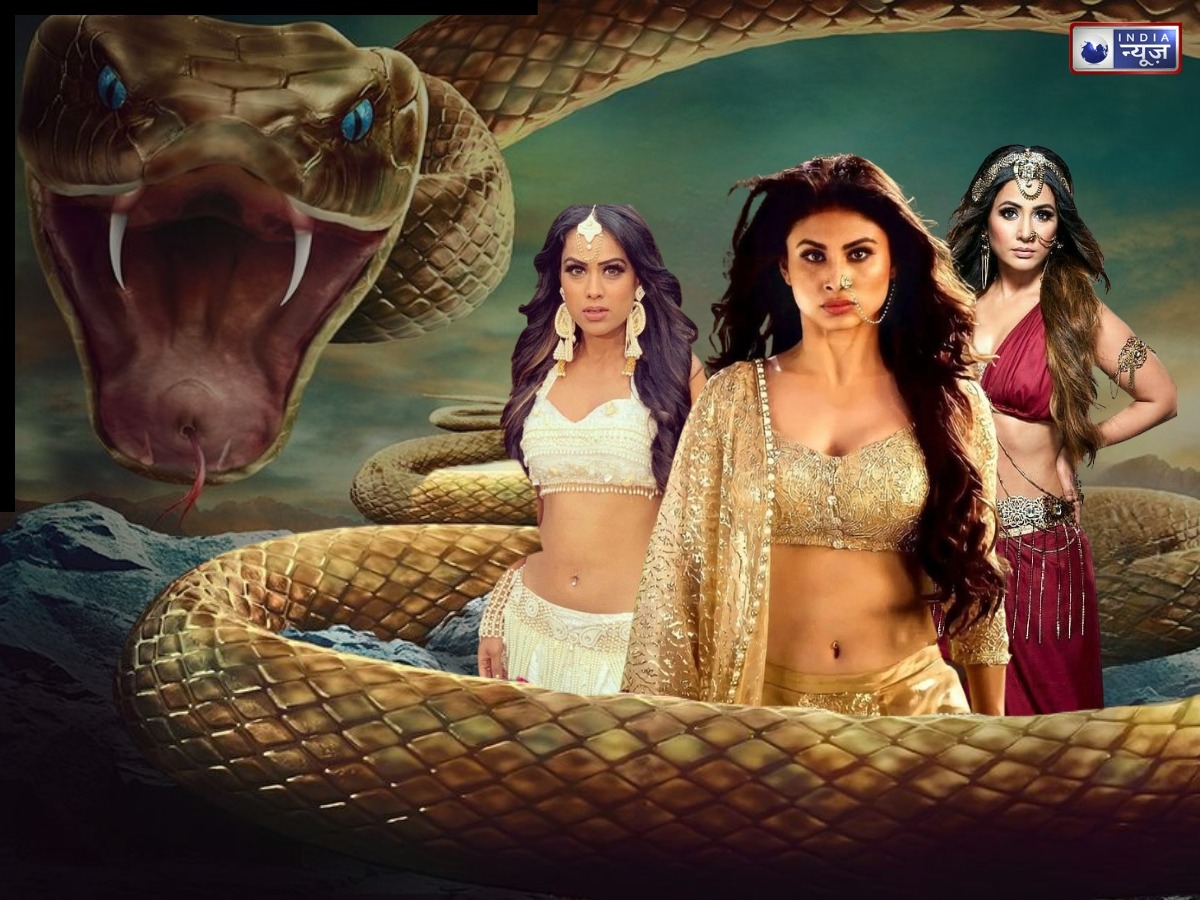 देखें नागिनों का बेहद हॉट और ग्लैमरस अवतार, तस्वीरें देखकर उड़ जायेंगे होश