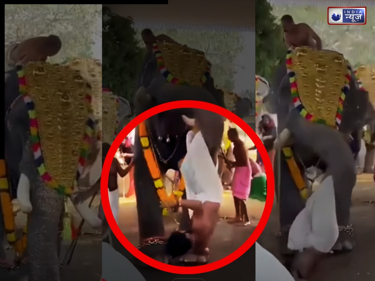 केरल में उत्सव के दौरान हाथी ने युवक को पटका, मची अफरा-तफरी, वीडियो वायरल