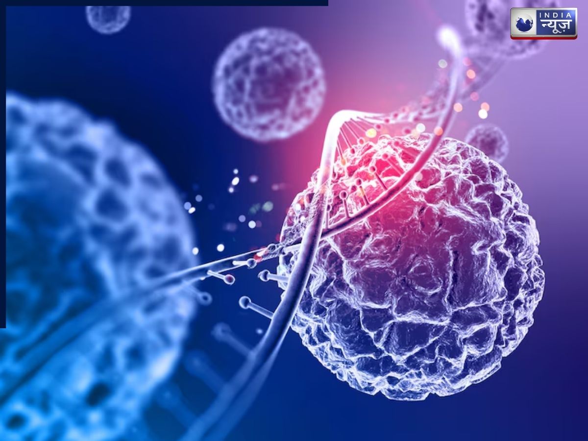 Understanding cancer - Photo Gallery