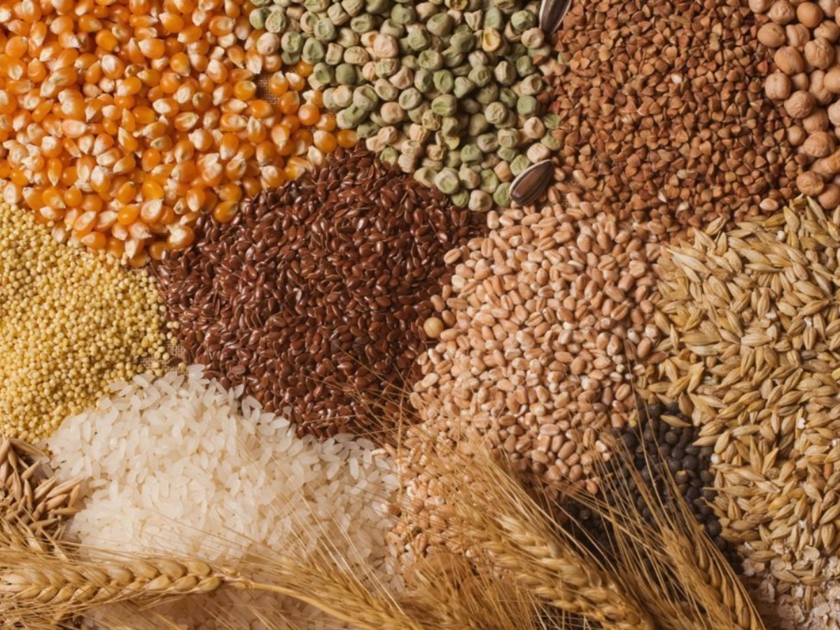 Harmful Effects of Multigrain Flour - Photo Gallery