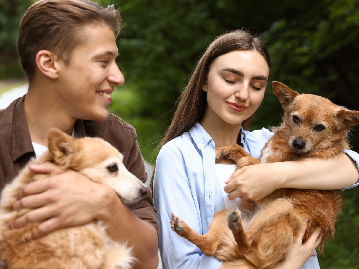 Emotional Dependency - Photo Gallery