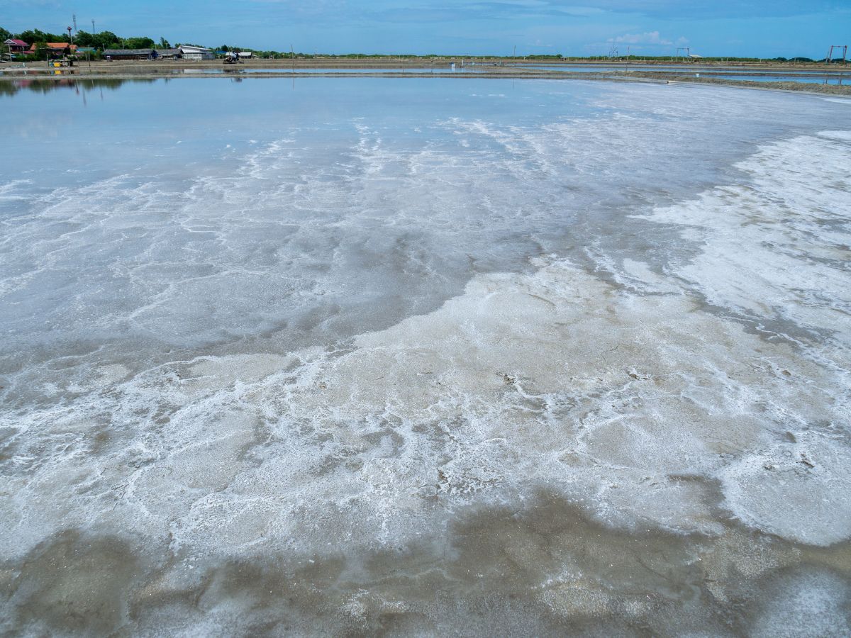 Best for Muscles - Photo Gallery