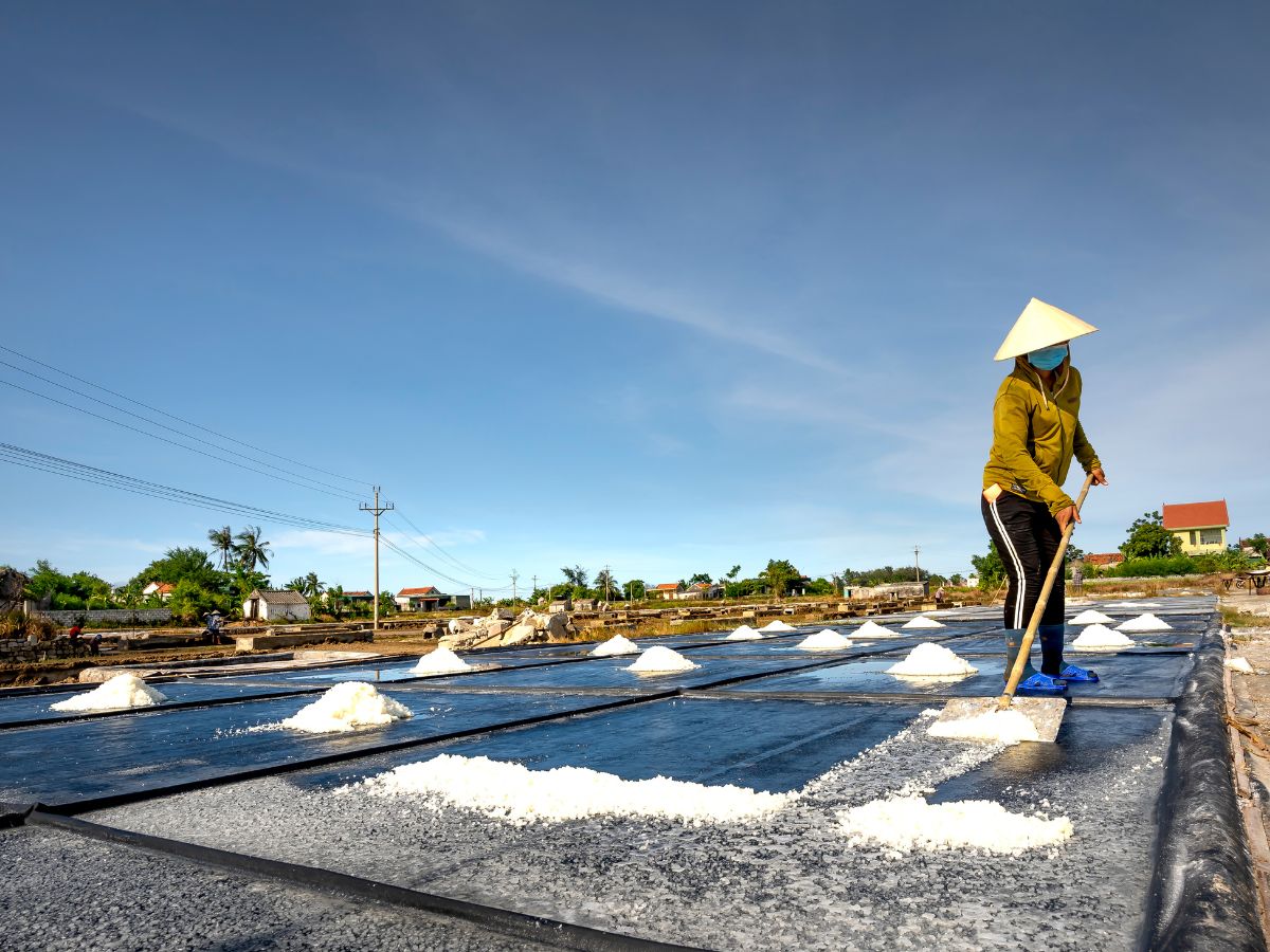 Beneficial for digestion - Photo Gallery