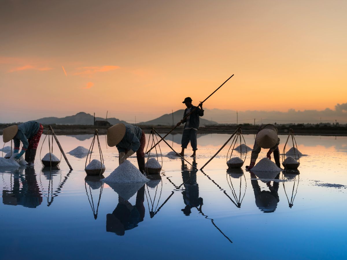 Strengthens the immune system - Photo Gallery