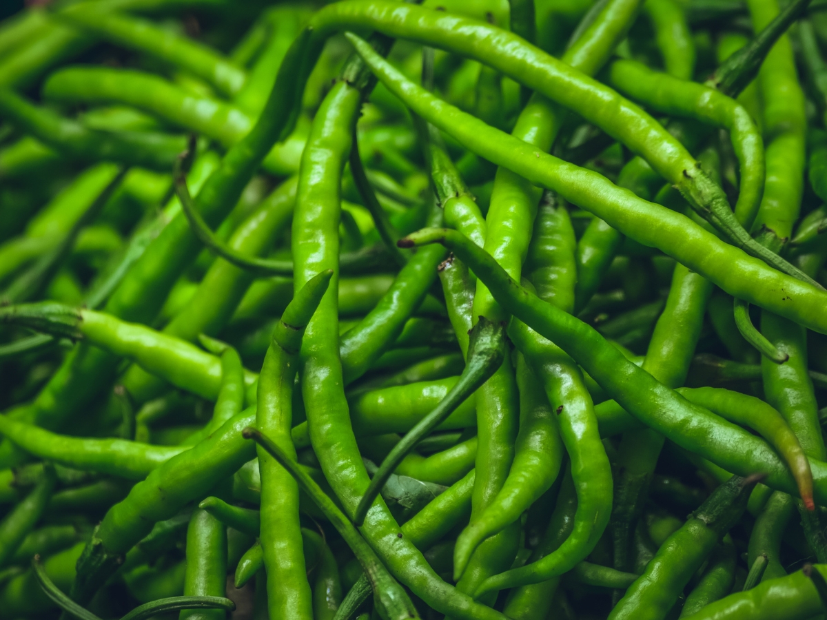 Effective for digestion - Photo Gallery