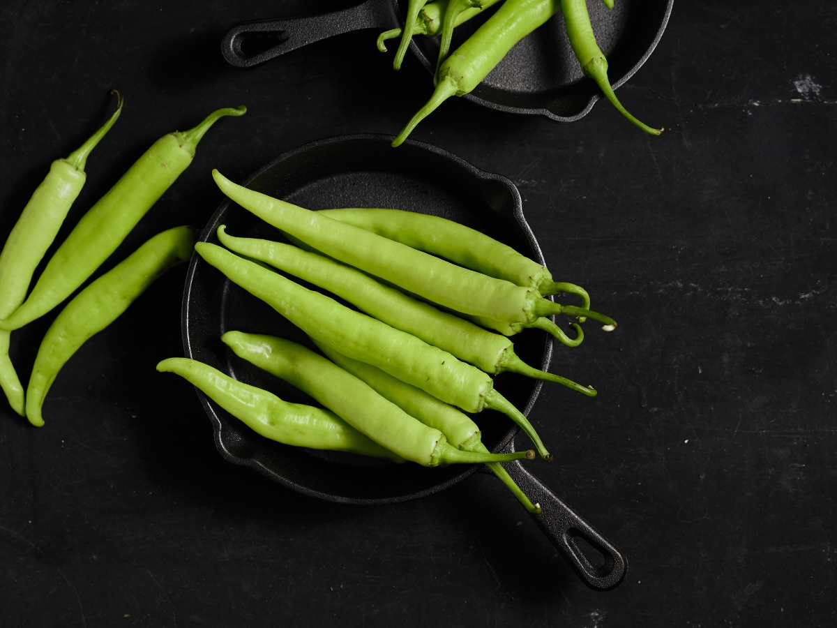 Endorphin Hormone - Photo Gallery